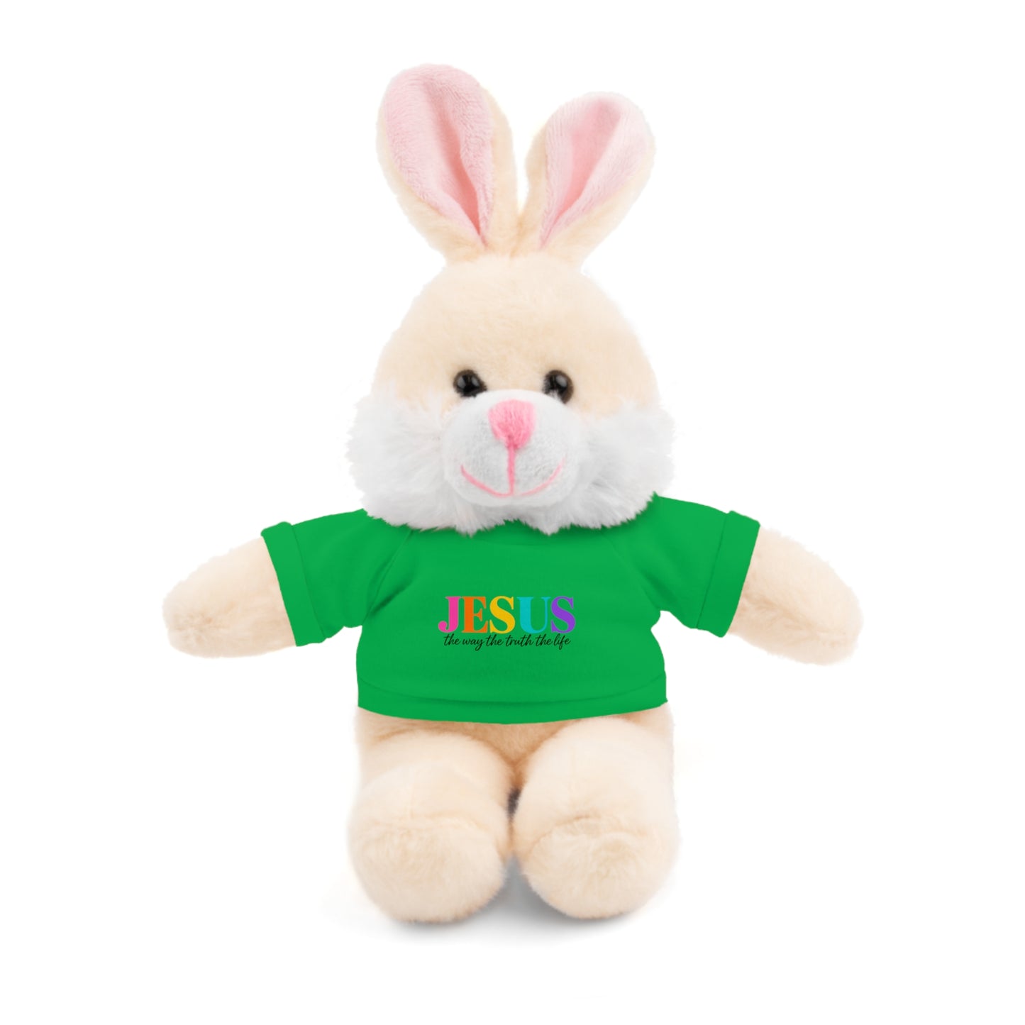 Jesus Rainbow Tee Teddy Bear - Plush Stuffed Animal with Faith Shirt