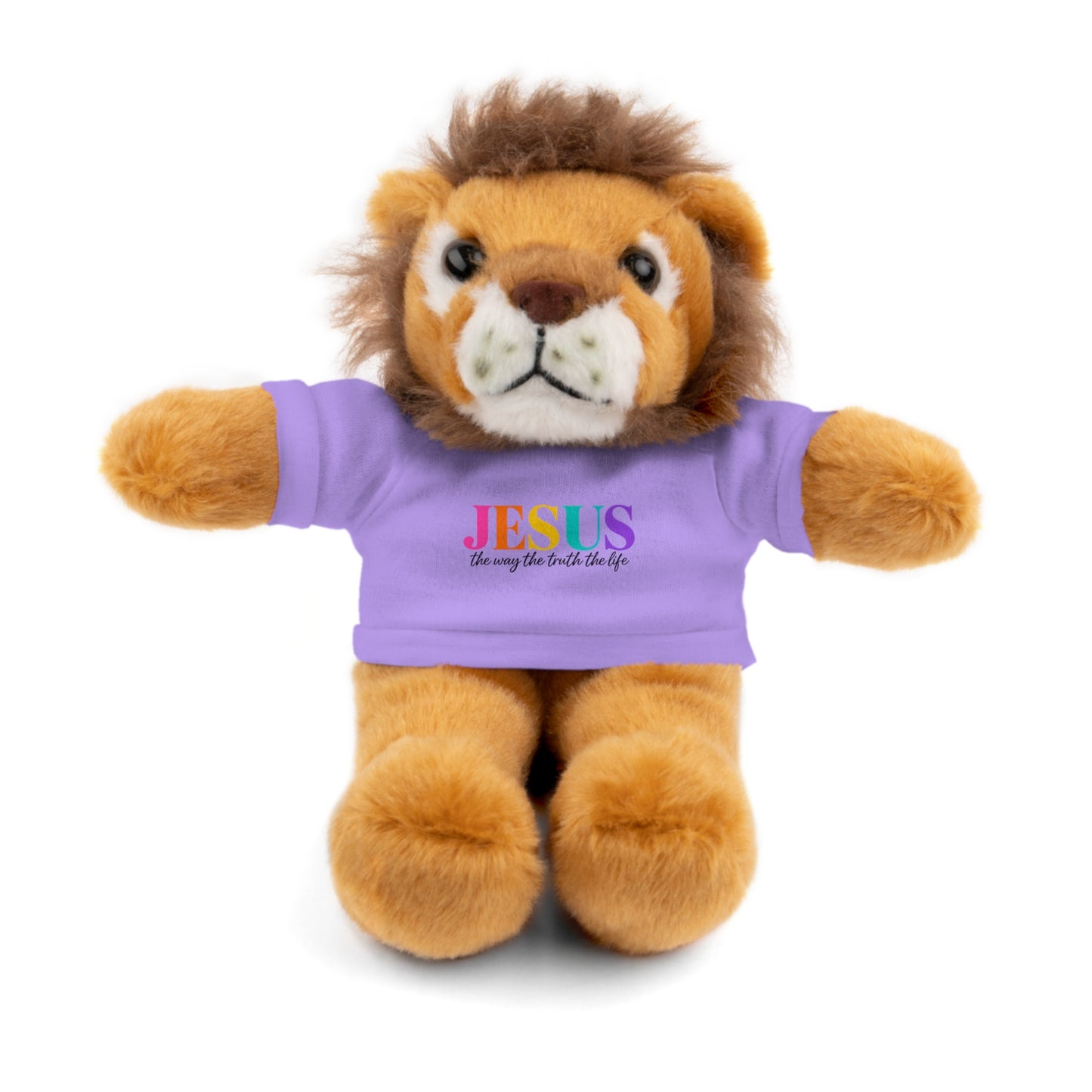 Jesus Rainbow Tee Teddy Bear - Plush Stuffed Animal with Faith Shirt