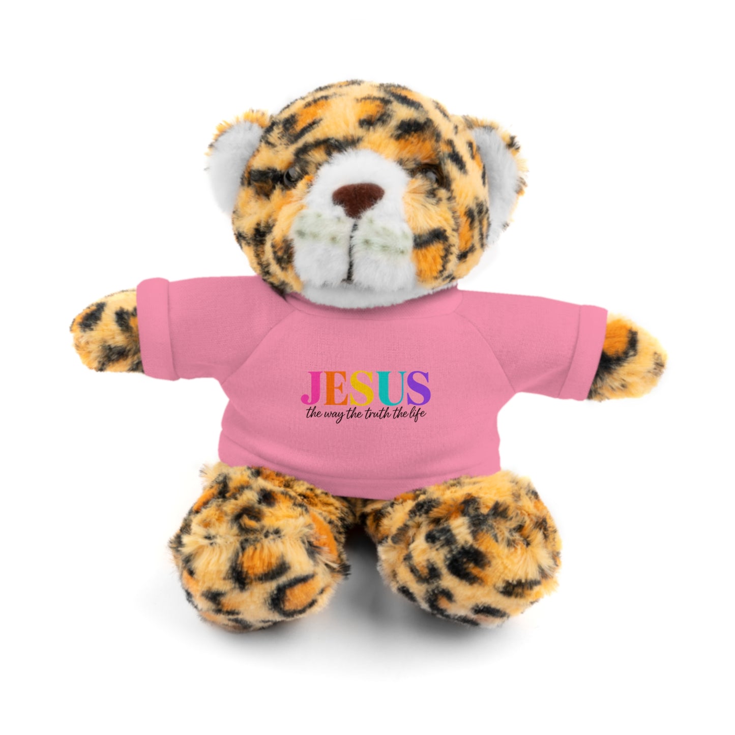 Jesus Rainbow Tee Teddy Bear - Plush Stuffed Animal with Faith Shirt