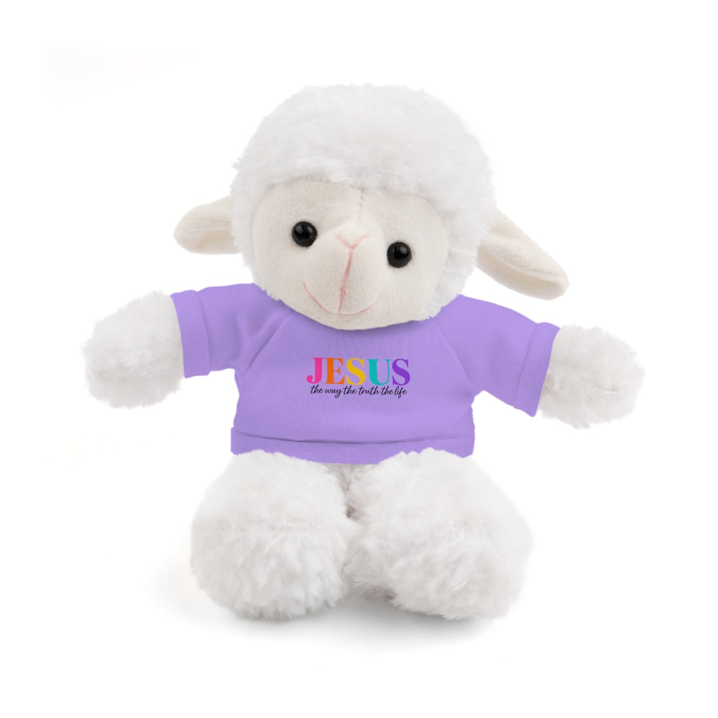 Jesus Rainbow Tee Teddy Bear - Plush Stuffed Animal with Faith Shirt