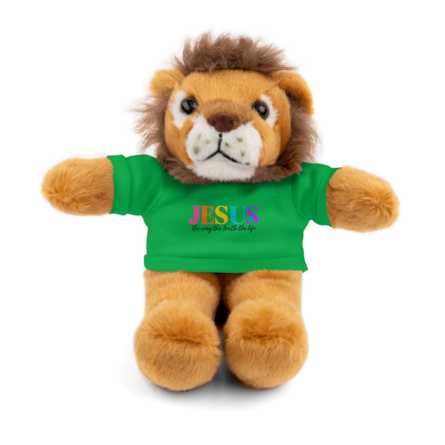 Jesus Rainbow Tee Teddy Bear - Plush Stuffed Animal with Faith Shirt