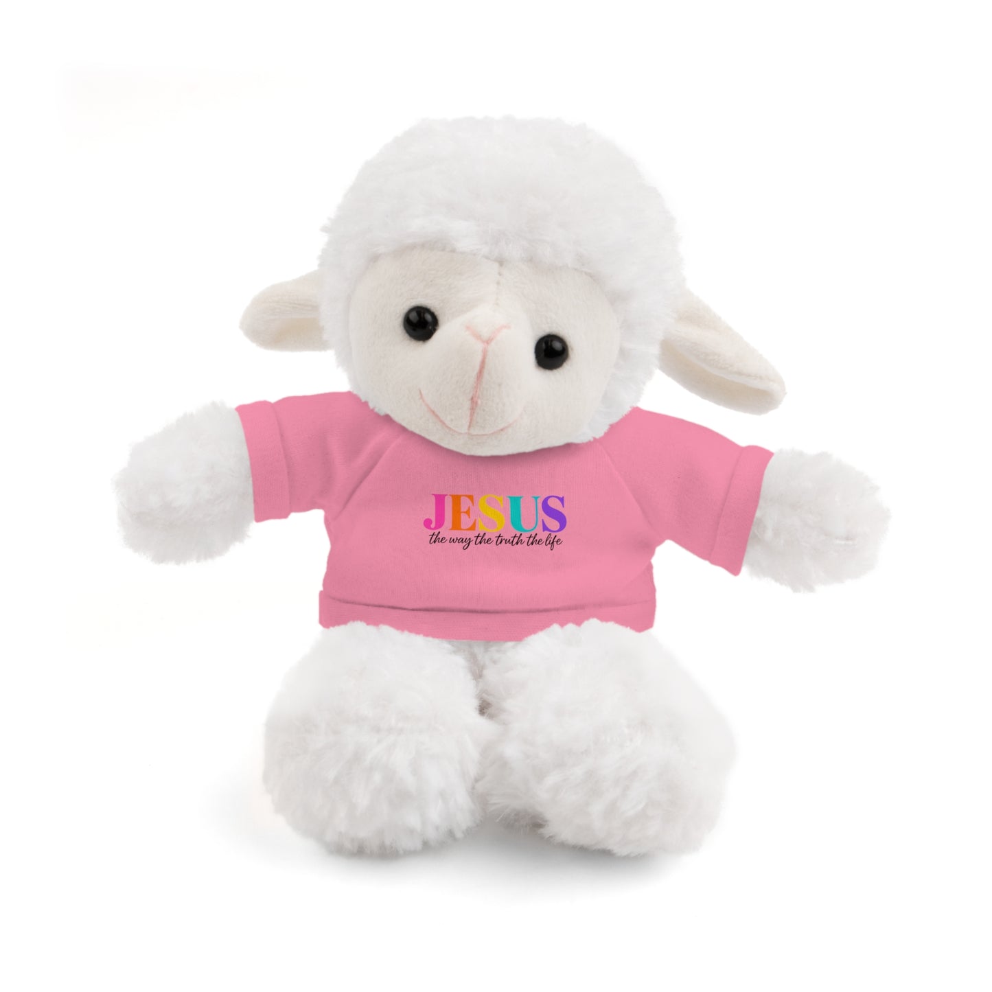Jesus Rainbow Tee Teddy Bear - Plush Stuffed Animal with Faith Shirt
