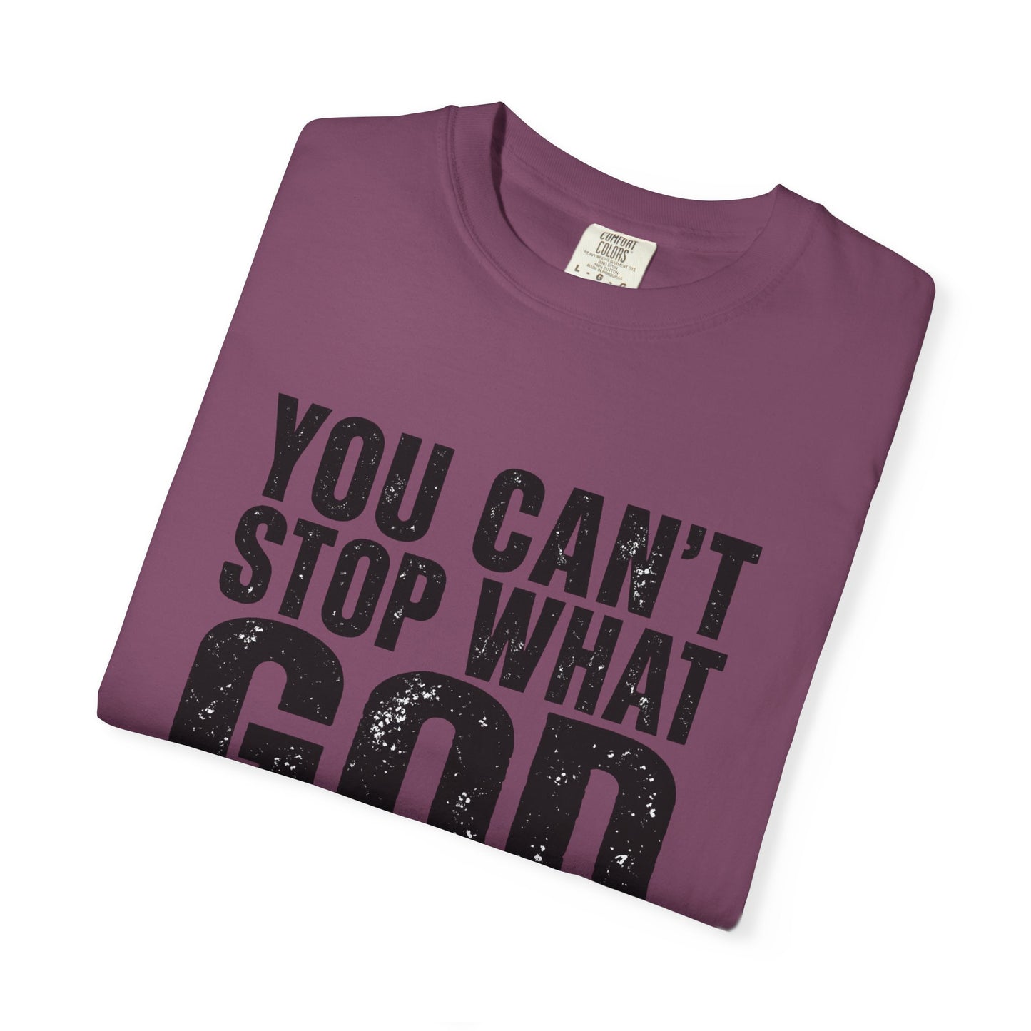 BIG FROST "You Can't Stop What God Got Planned" DOUBLE SIDED Print T Shirt