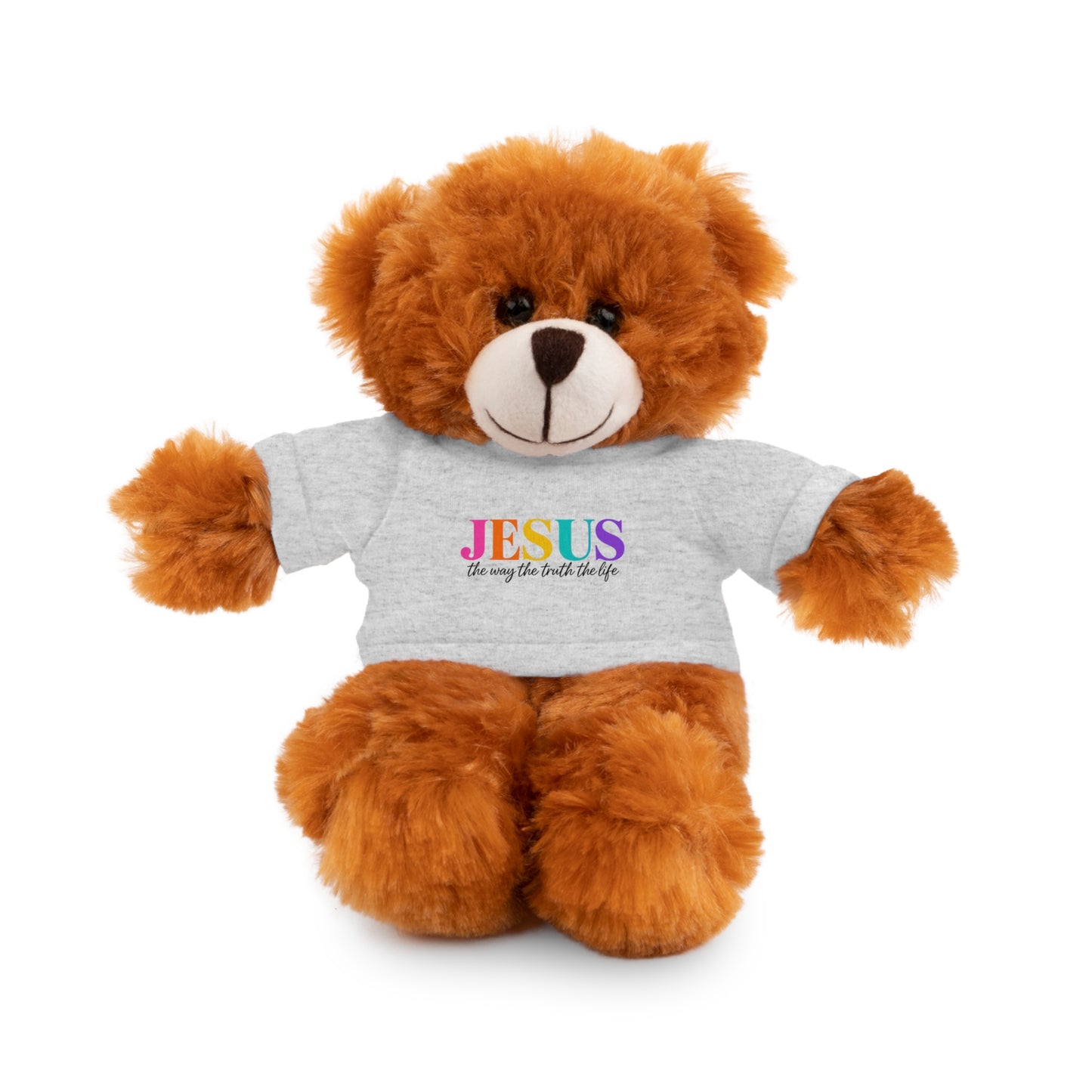Jesus Rainbow Tee Teddy Bear - Plush Stuffed Animal with Faith Shirt