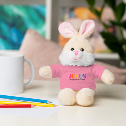 Jesus Rainbow Tee Teddy Bear - Plush Stuffed Animal with Faith Shirt