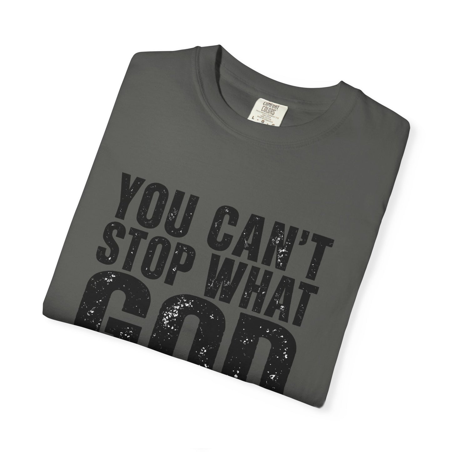 BIG FROST "You Can't Stop What God Got Planned" DOUBLE SIDED Print T Shirt