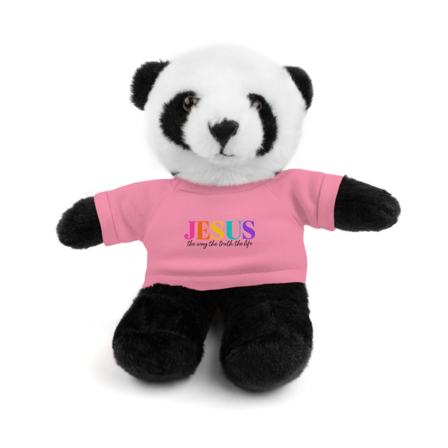 Jesus Rainbow Tee Teddy Bear - Plush Stuffed Animal with Faith Shirt