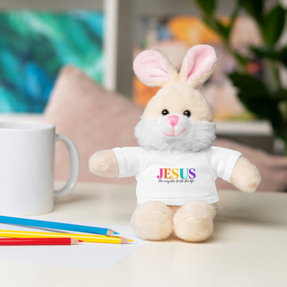 Jesus Rainbow Tee Teddy Bear - Plush Stuffed Animal with Faith Shirt