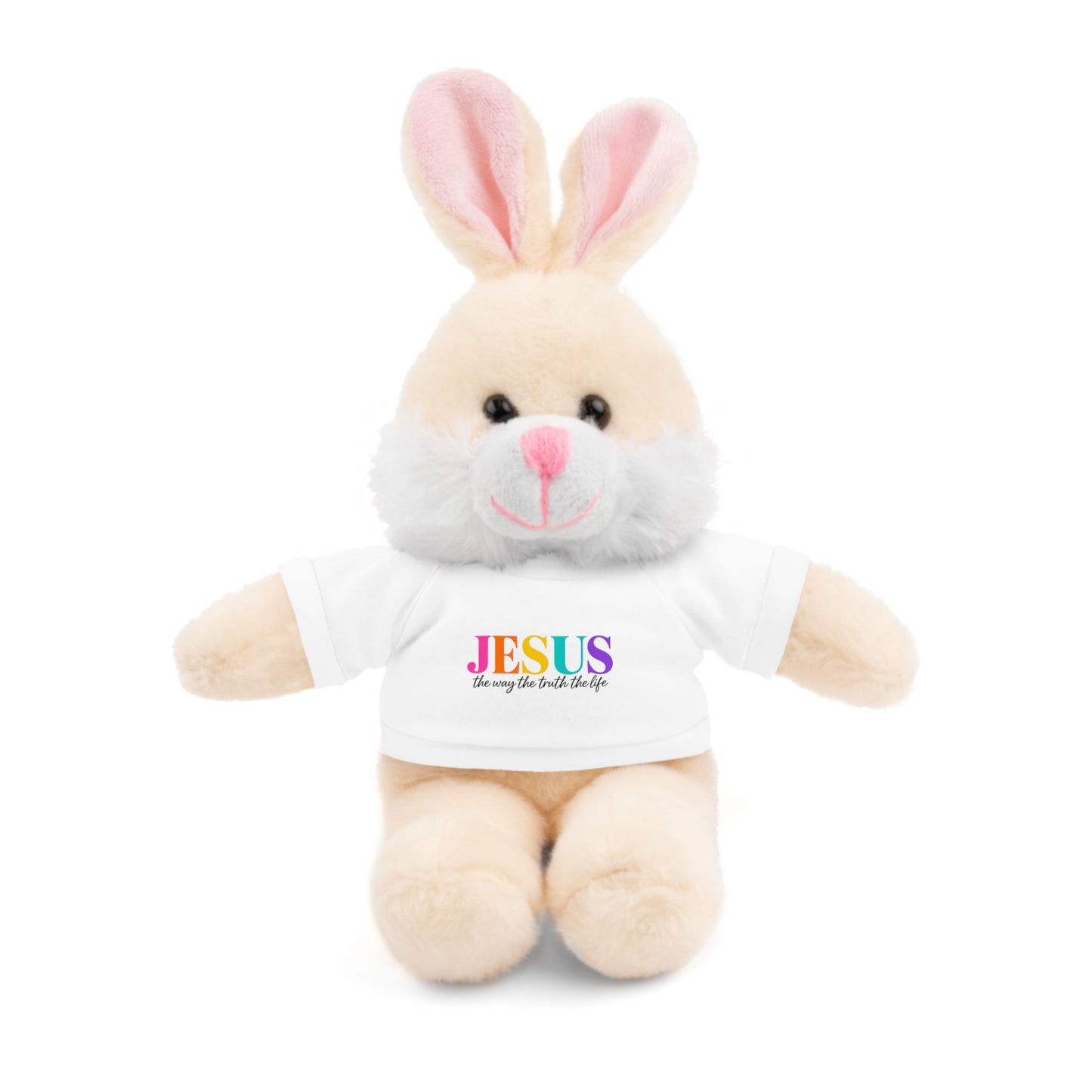 Jesus Rainbow Tee Teddy Bear - Plush Stuffed Animal with Faith Shirt