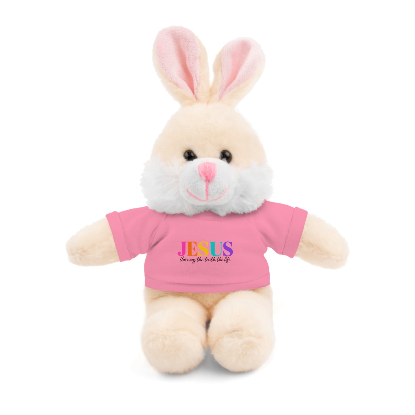 Jesus Rainbow Tee Teddy Bear - Plush Stuffed Animal with Faith Shirt