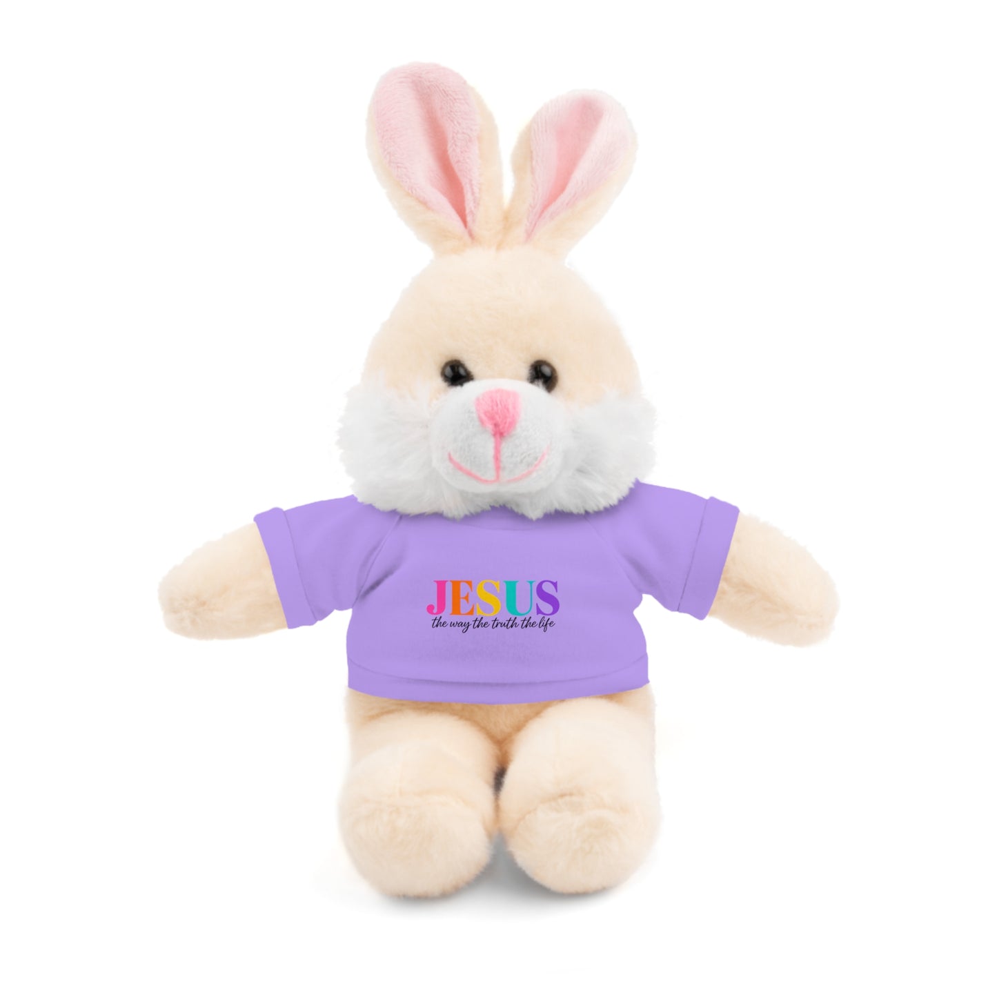 Jesus Rainbow Tee Teddy Bear - Plush Stuffed Animal with Faith Shirt