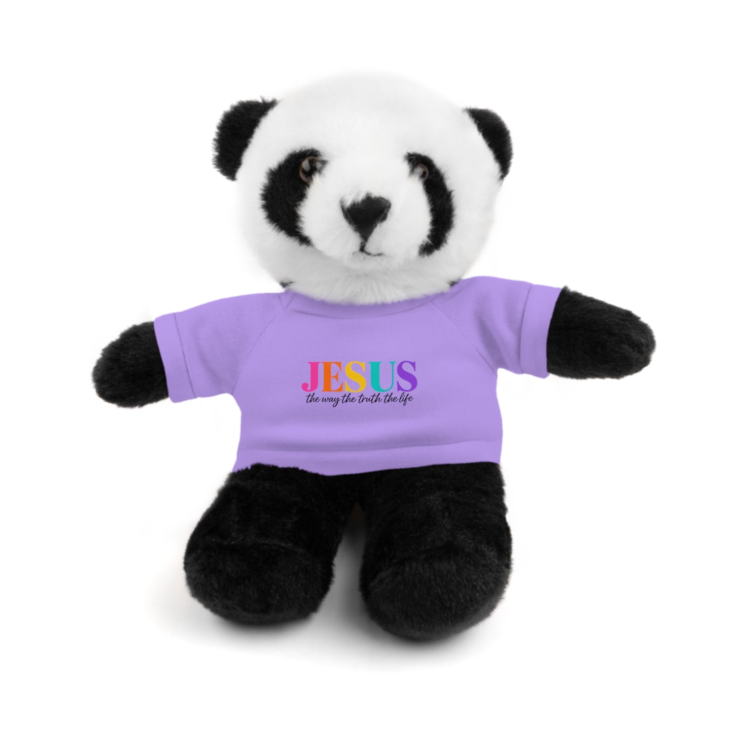 Jesus Rainbow Tee Teddy Bear - Plush Stuffed Animal with Faith Shirt