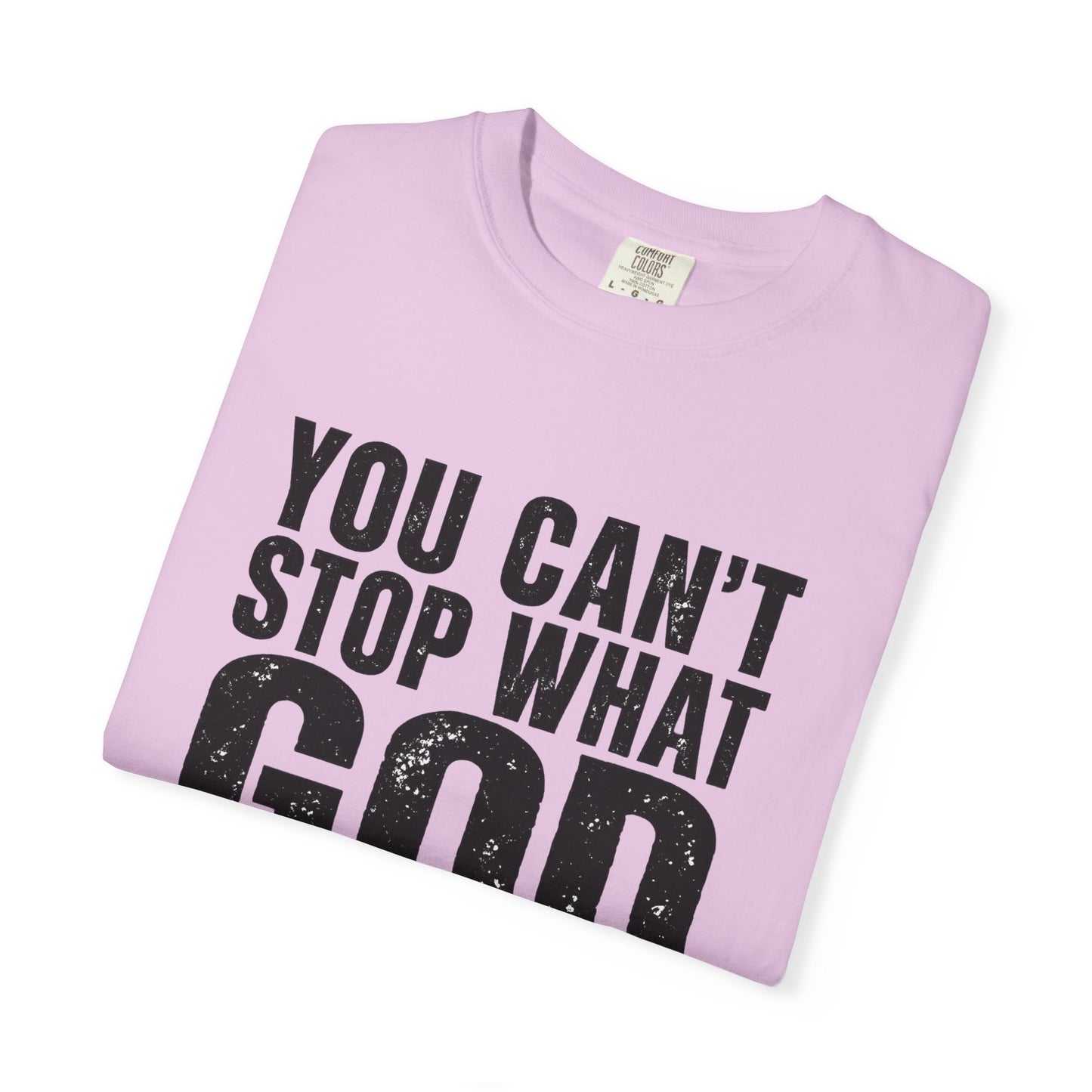 BIG FROST "You Can't Stop What God Got Planned" DOUBLE SIDED Print T Shirt