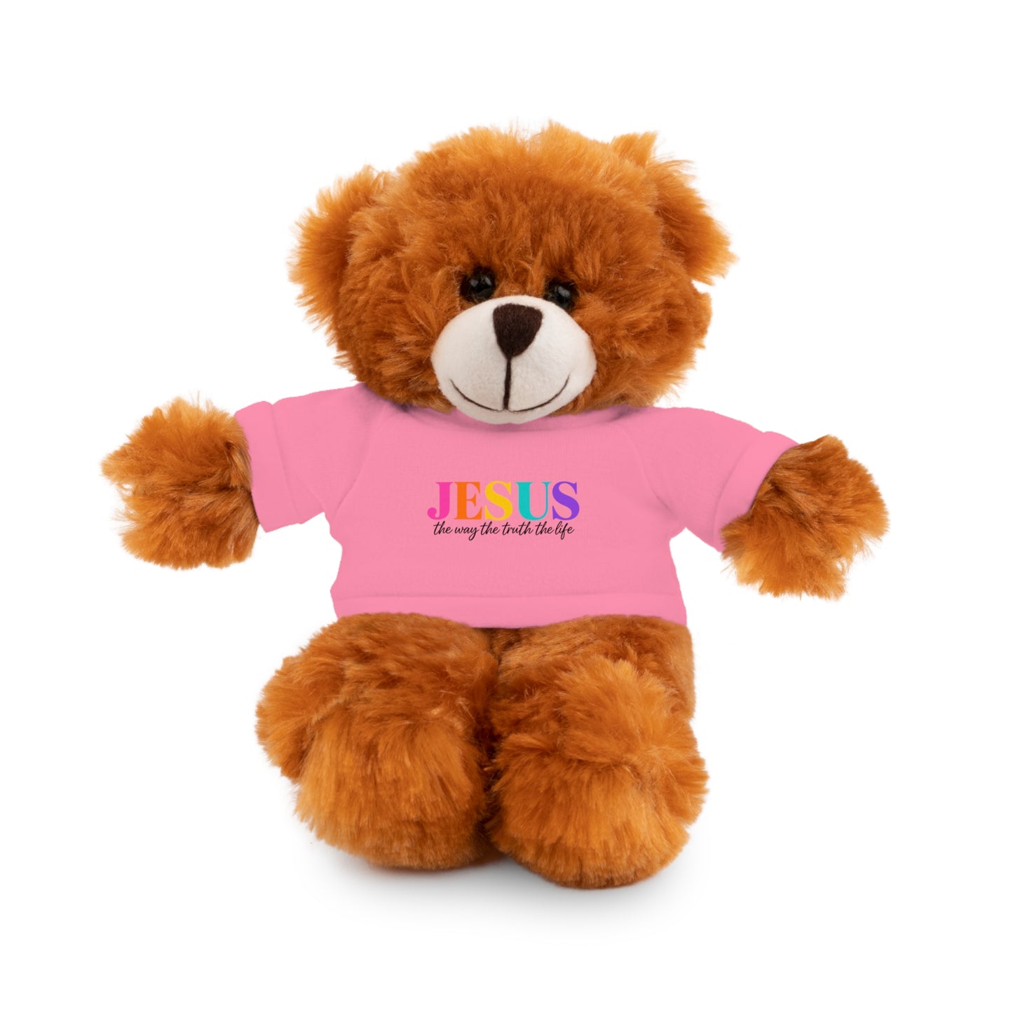 Jesus Rainbow Tee Teddy Bear - Plush Stuffed Animal with Faith Shirt
