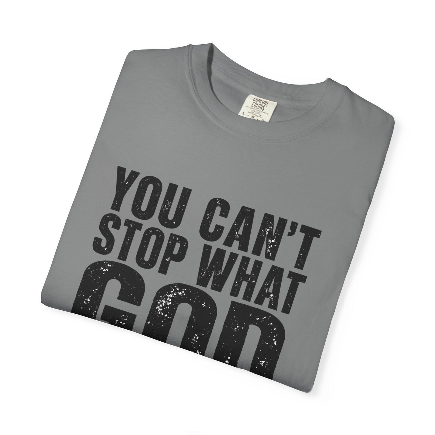 BIG FROST "You Can't Stop What God Got Planned" DOUBLE SIDED Print T Shirt