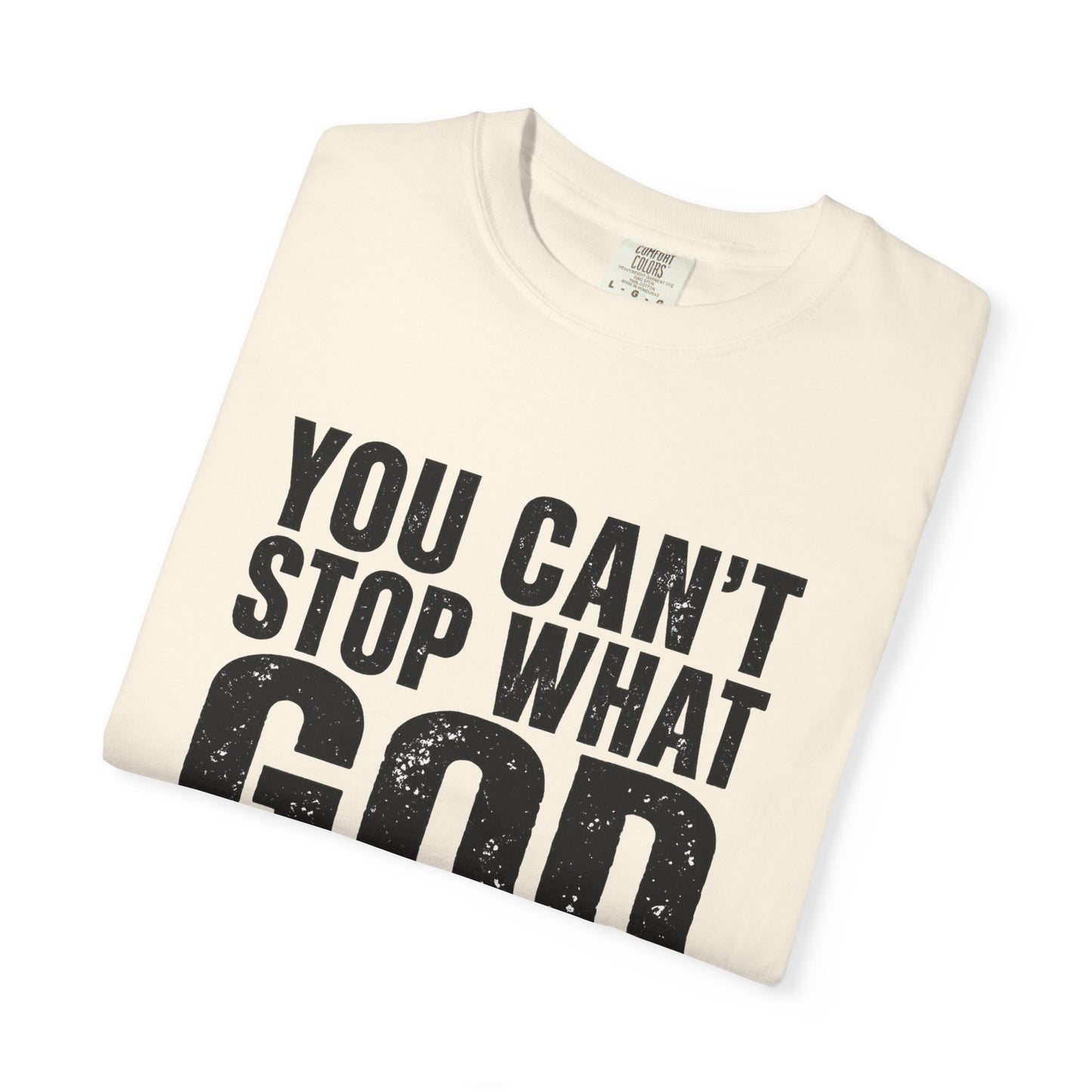 BIG FROST "You Can't Stop What God Got Planned" DOUBLE SIDED Print T Shirt