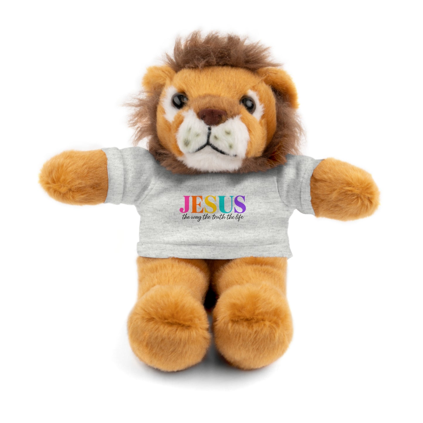 Jesus Rainbow Tee Teddy Bear - Plush Stuffed Animal with Faith Shirt